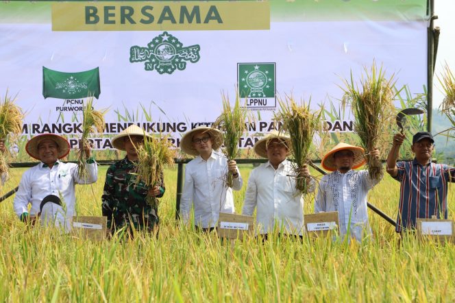 LPPNU Purworejo Gelar Panen Raya Padi dalam Rangka Hari Santri 2025